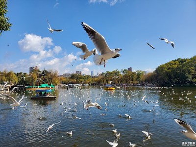 【難忘2021】一年回顧