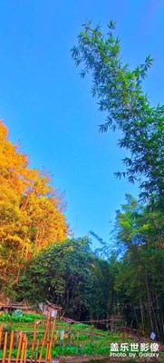 登高望遠(yuǎn)