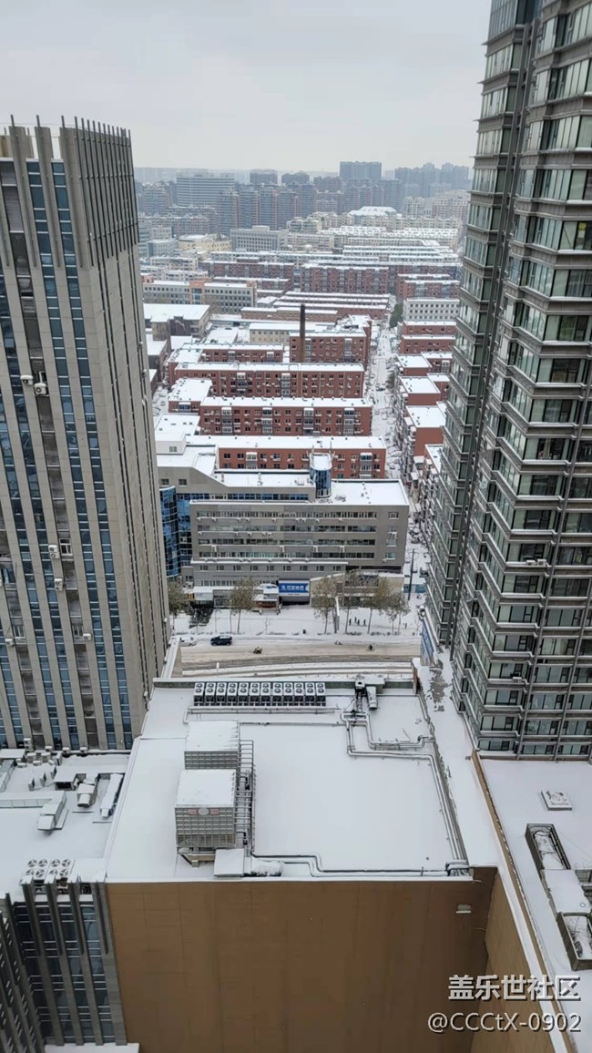 【再見(jiàn)2021】一年的所聞所見(jiàn)