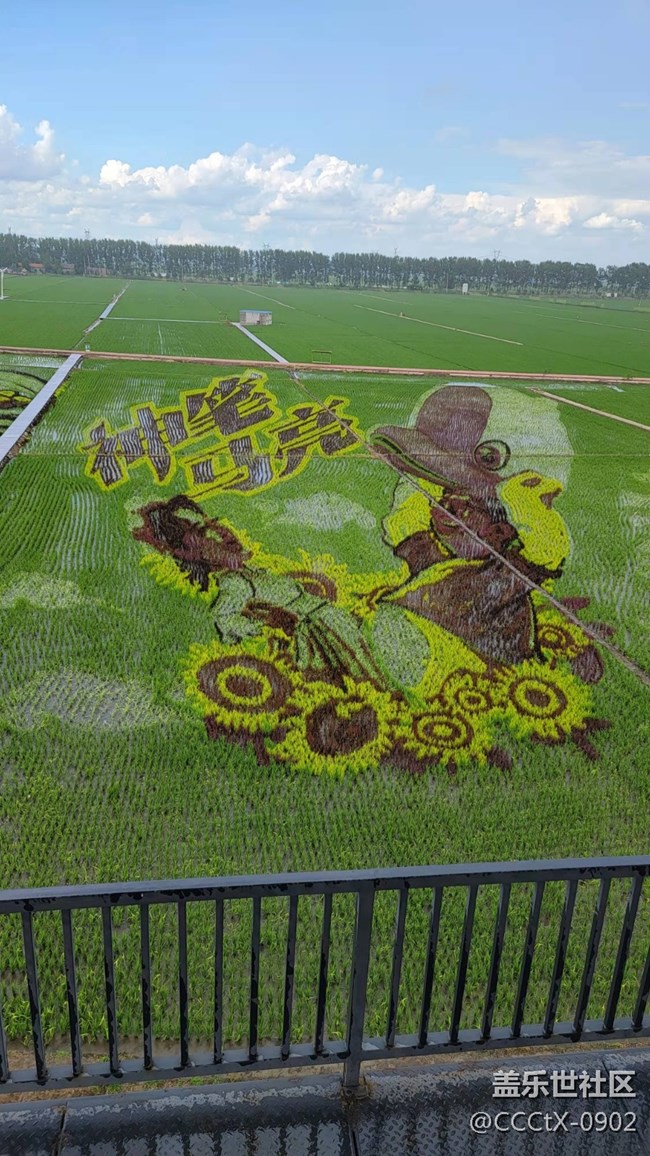 【再見(jiàn)2021】一年的所聞所見(jiàn)