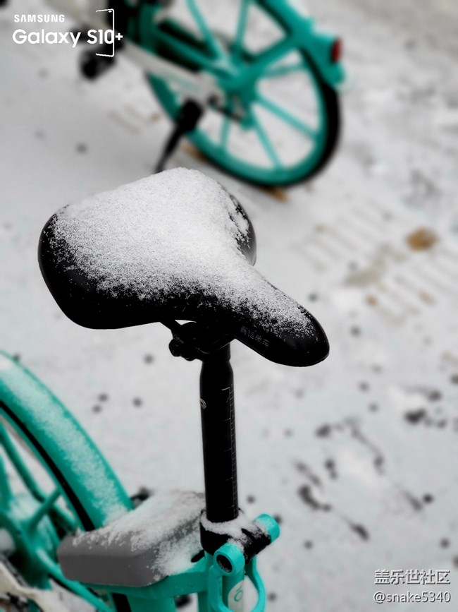 【冬日風(fēng)情】+有風(fēng)、也有情