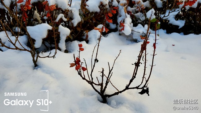 【冬日風(fēng)情】+有風(fēng)、也有情