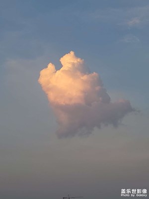 【難忘2021】+2021隨手拍