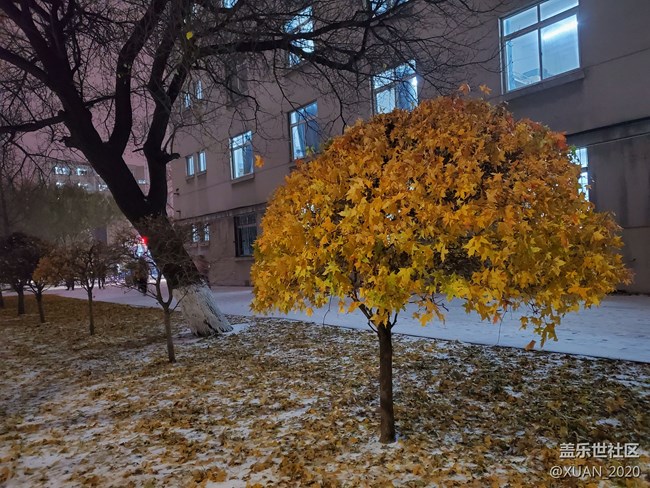 【冬日風情】＋2021年的第一場雪