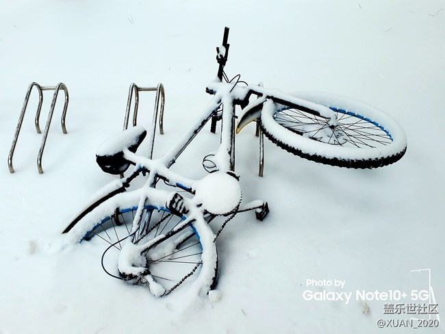 【冬日風情】＋2021年的第一場雪