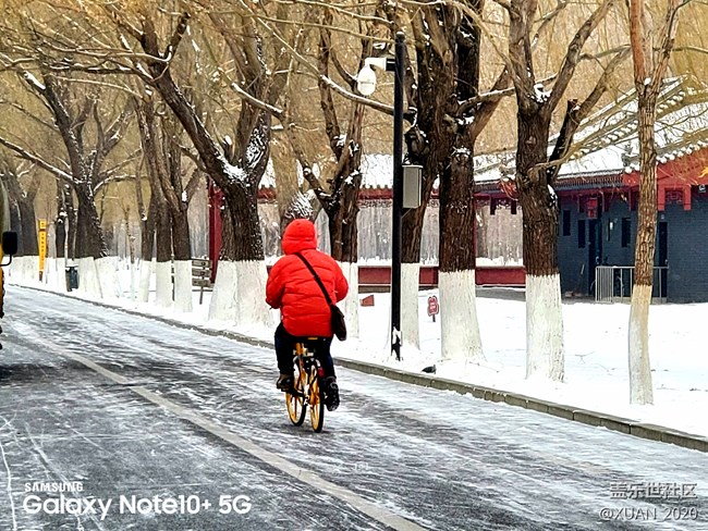 【冬日風情】＋2021年的第一場雪