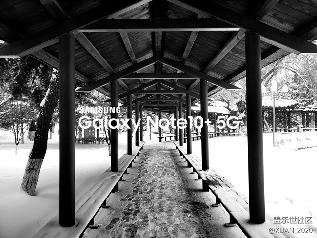 【冬日風情】＋2021年的第一場雪