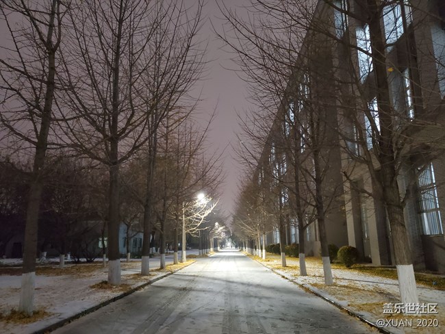 【冬日風情】＋2021年的第一場雪