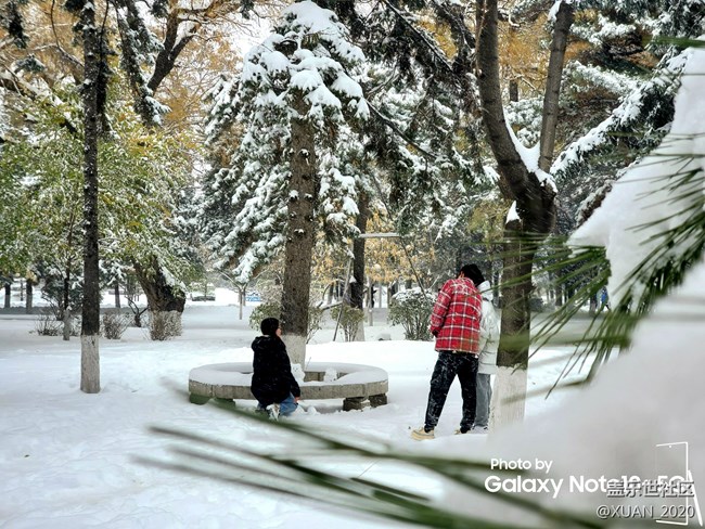 【冬日風情】＋2021年的第一場雪