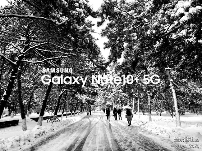 【冬日風情】＋2021年的第一場雪