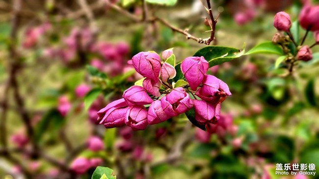 《每周星鮮事》 第91期:參加活動，即有好禮相送！