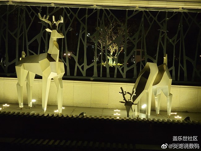 夜景拍出來的效果，打幾分？