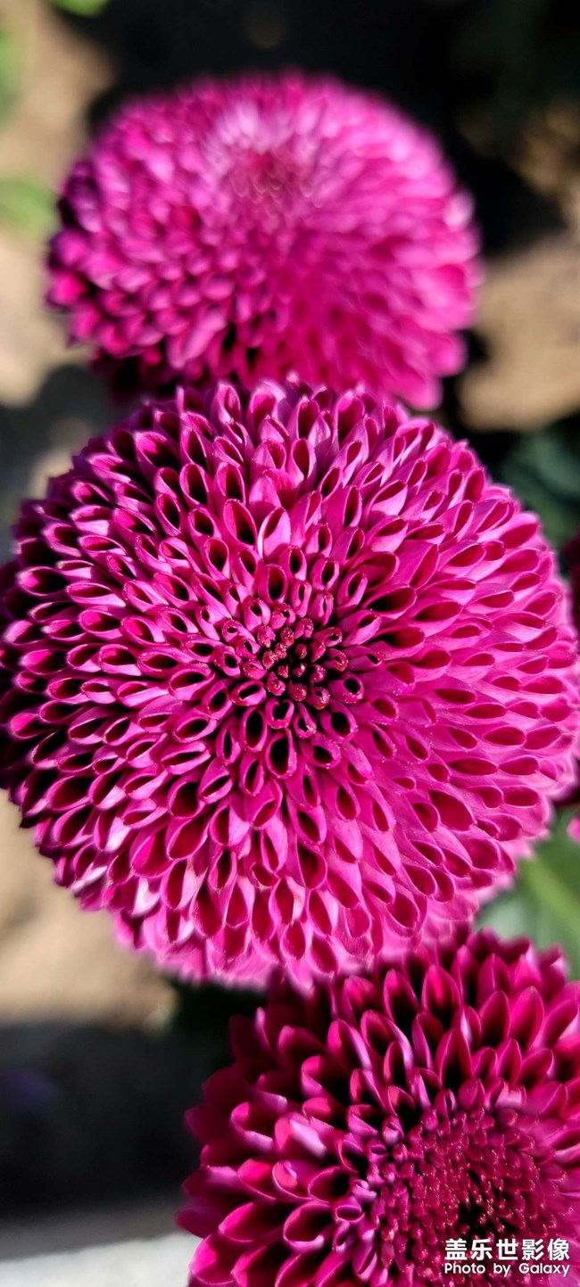 《每周星鮮事》 第91期:參加活動，即有好禮相送！