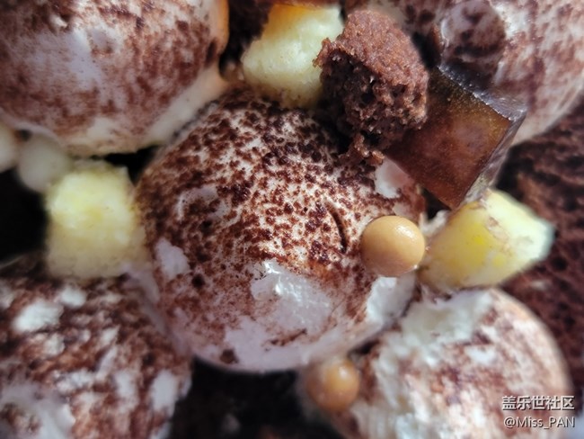 #2021留念——圣誕款提拉米蘇