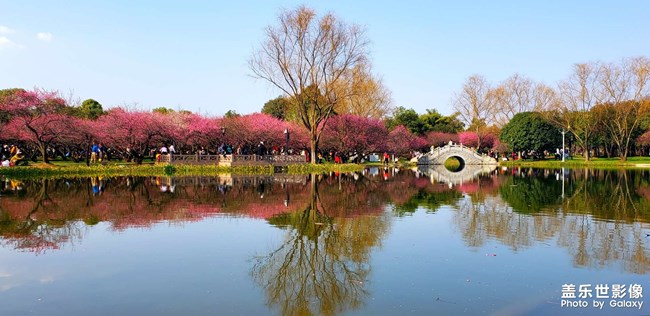 《每周星鮮事》 第91期:參加活動，即有好禮相送！