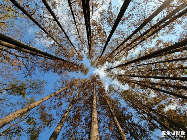 《每周星鮮事》 第91期:參加活動，即有好禮相送！