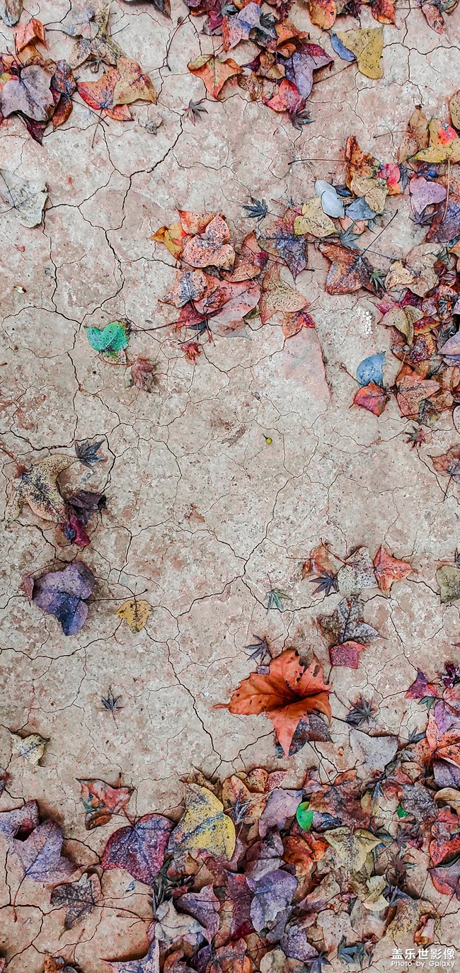 《每周星鮮事》 第91期:參加活動，即有好禮相送！