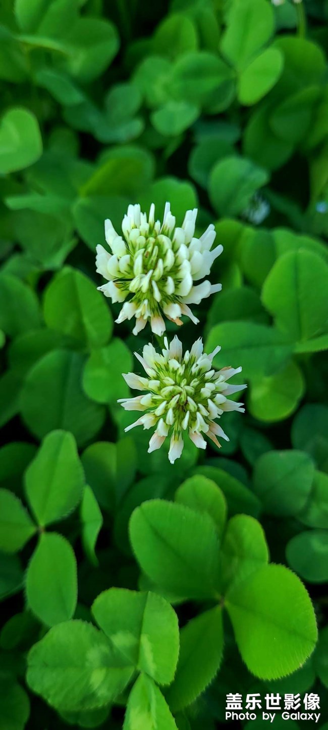 《每周星鮮事》 第91期:參加活動，即有好禮相送！