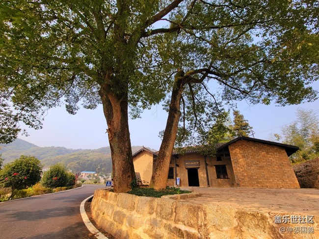 【冬日風情】+冬日紅色之旅