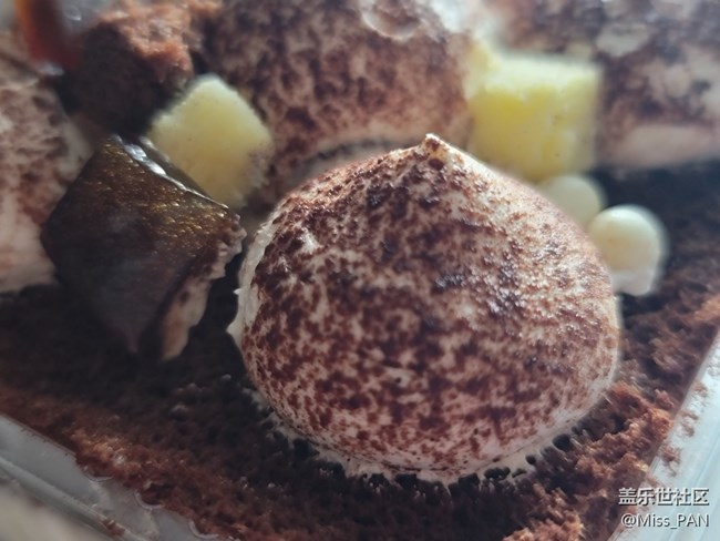 #2021留念——圣誕款提拉米蘇