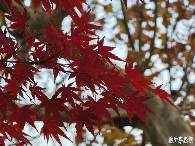 《每周星鮮事》 第91期:參加活動，即有好禮相送！