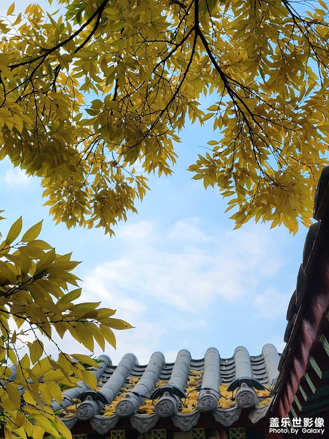 《每周星鮮事》 第91期:參加活動，即有好禮相送！