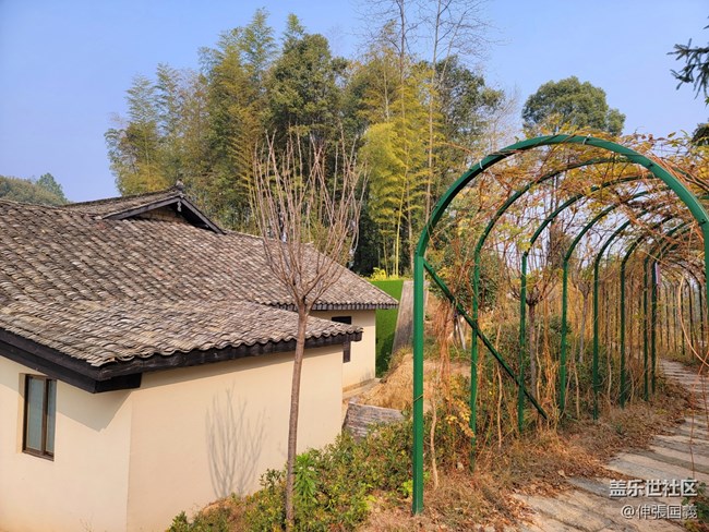 【冬日風情】+冬日紅色之旅