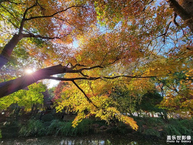 《每周星鮮事》 第91期:參加活動，即有好禮相送！