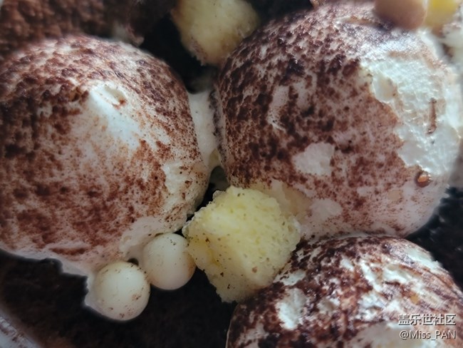 #2021留念——圣誕款提拉米蘇