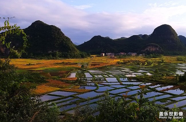 《每周星鮮事》 第91期:參加活動，即有好禮相送！