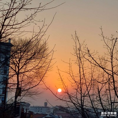 晚陽