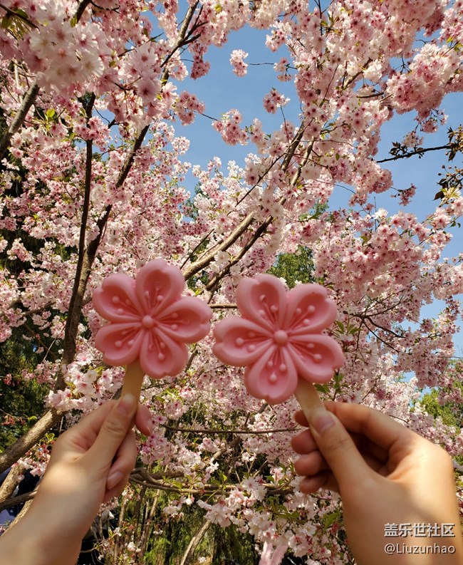 #再回首——回首2021