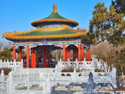 Galaxy S21Ultra 5G   寒冬小景