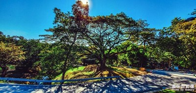 【光影瞬間】+光與景