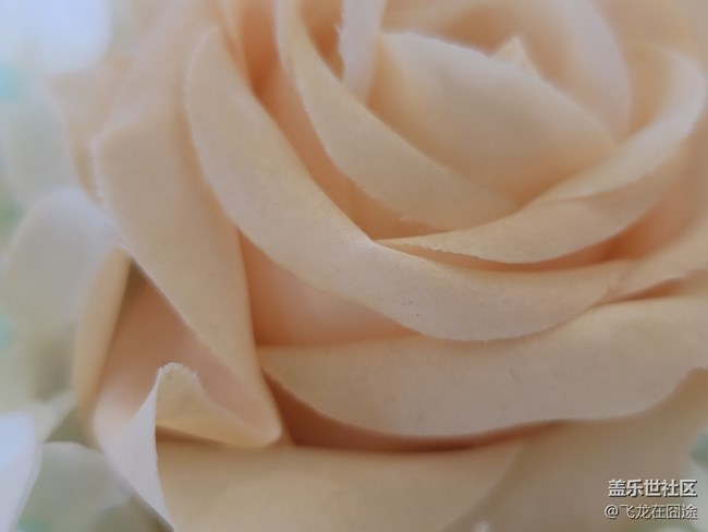 #2021留念——花開富貴