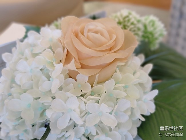 #2021留念——花開富貴