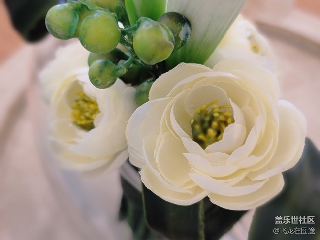 #2021留念——花開富貴