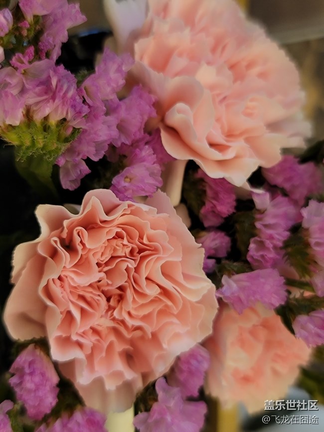 #2021留念——花開富貴