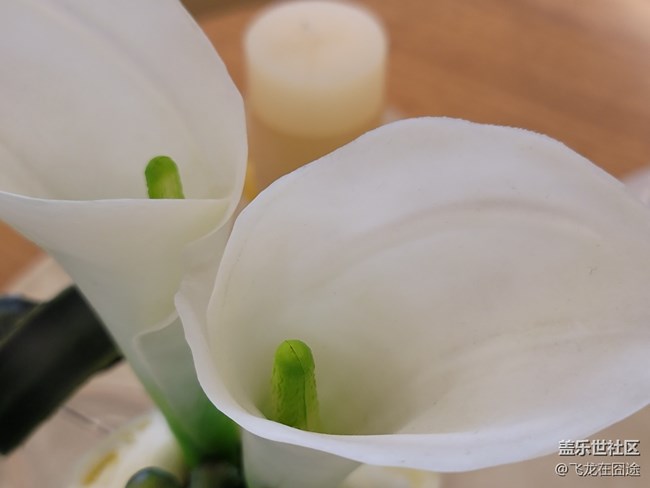 #2021留念——花開富貴