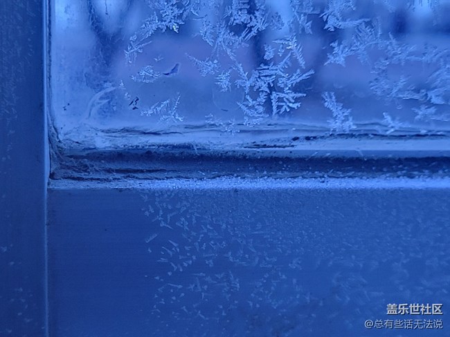 【冬日風(fēng)情】窗花