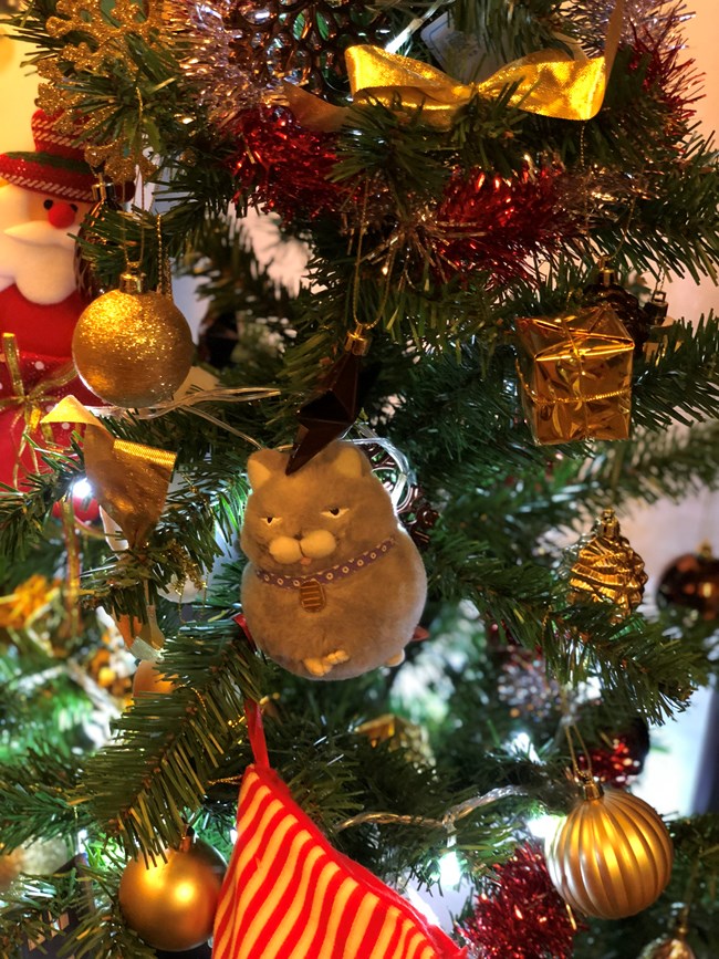 【我不一樣的圣誕】圣誕裝扮