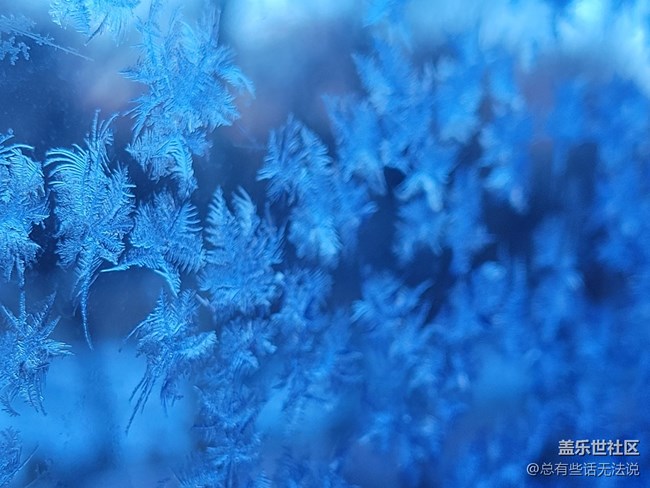 【冬日風(fēng)情】窗花