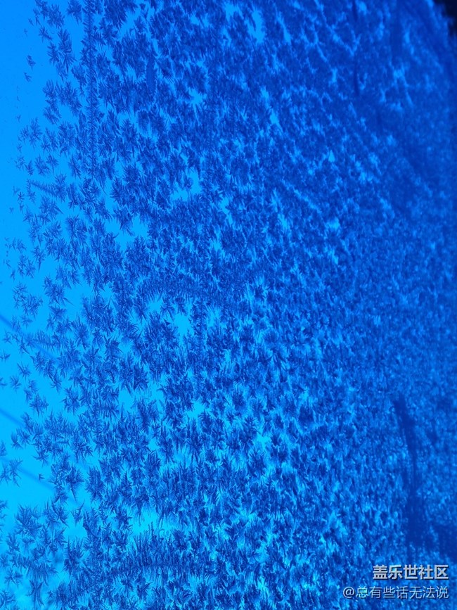 【冬日風(fēng)情】窗花