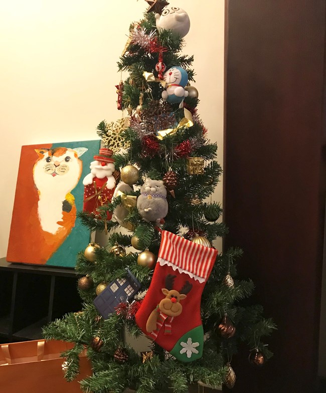 【我不一樣的圣誕】圣誕裝扮