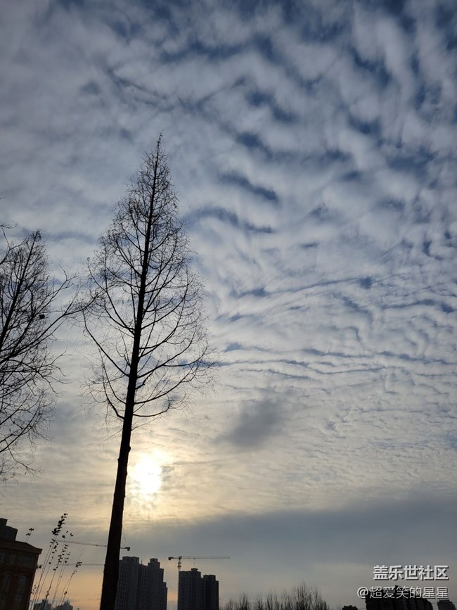 s21最強大最實用最貼合實際體驗的功能！