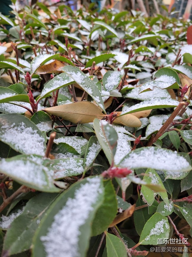 s21最強大最實用最貼合實際體驗的功能！