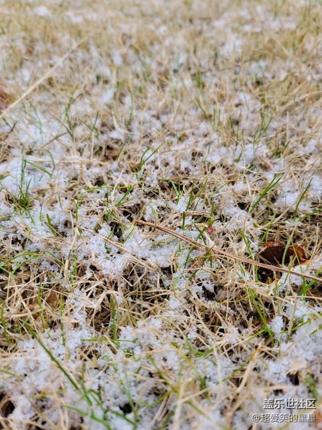 s21最強大最實用最貼合實際體驗的功能！