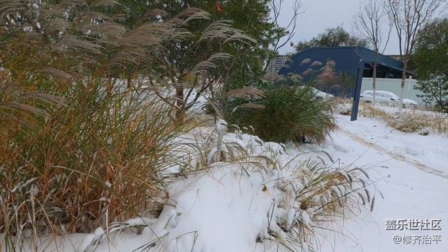 #2021留念——深秋的雪