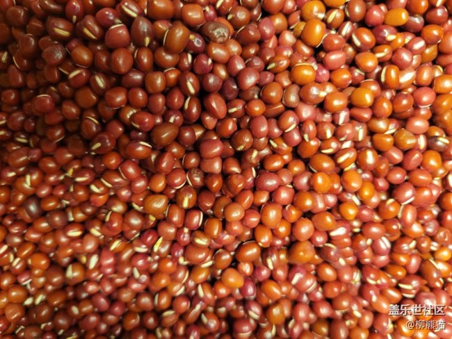 【我的收藏】沒(méi)啥收藏