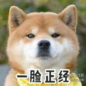 2023年沈陽星部落年終活動回顧